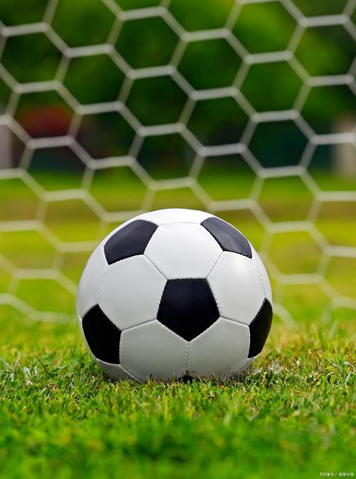 Cases show need to foster private sector